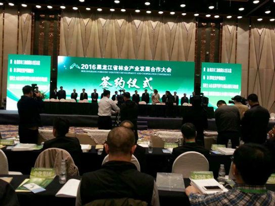 仟億達831999碳交易業(yè)界影響強，副總田衛(wèi)然接受黑龍江廣播電視臺采訪