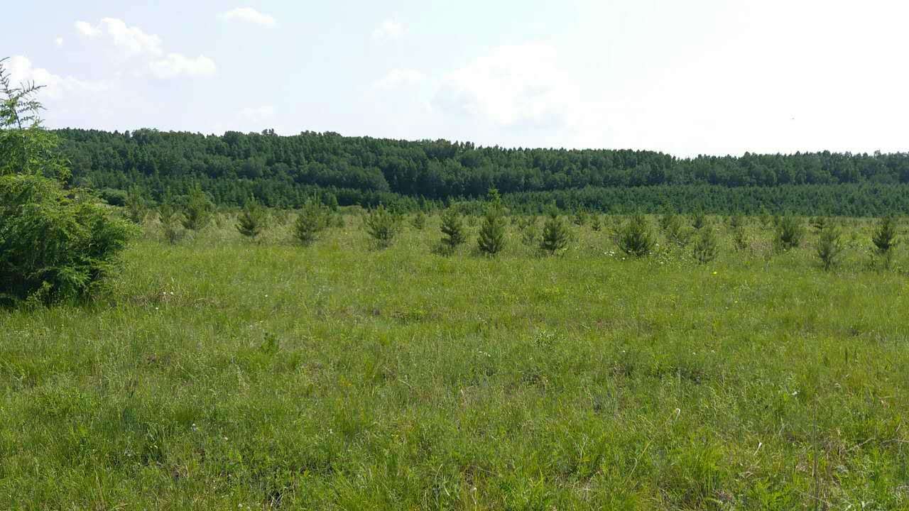 仟億達(dá)集團(tuán)(證券代碼:831999)與科爾沁左翼旗苗圃就碳匯造林項(xiàng)目達(dá)成合作 仟億達(dá)集團(tuán)(證券代碼:831999)與科爾沁左翼旗苗圃就碳匯造林項(xiàng)目達(dá)成合作